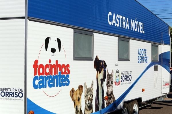 Celso Kozak requer informações sobre castração de cães e gatos realizados pelo Poder Executivo