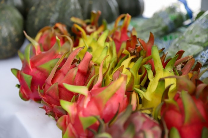 Agricultura Familiar de Lucas do Rio Verde é destaque no Show Safra 2023