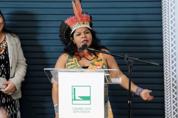 Comissão ouve ministra sobre as prioridades do Ministério dos Povos Indígenas