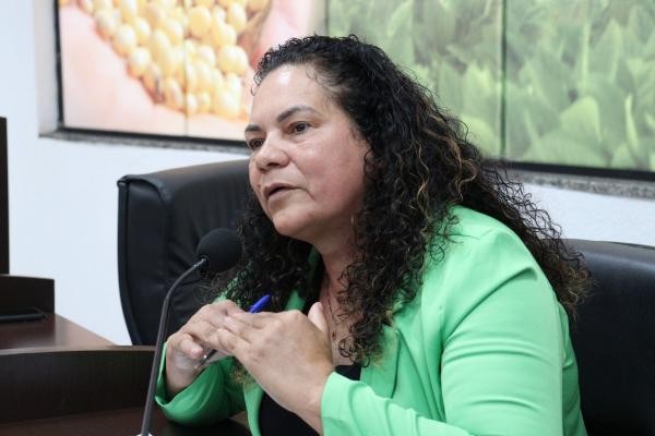 Sorriso: Requerimento de Jane pede oficinas técnicas para membros do Conselho Municipal de Saúde