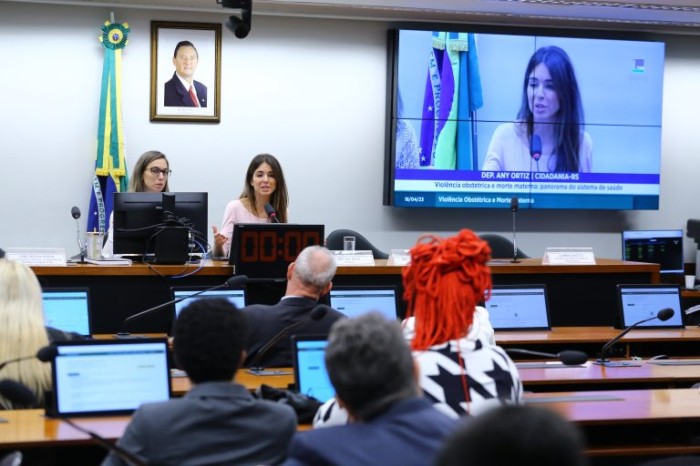 Comissão especial debate definição do conceito de violência obstétrica