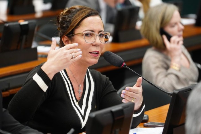 Comissão de Segurança debate prevenção e repressão à violência contra as escolas