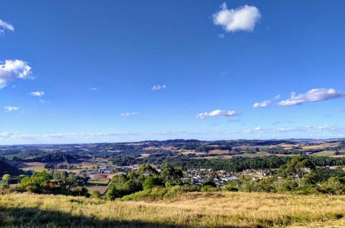 Guabiju (RS) é a capital nacional do 'mirtilo brasileiro'