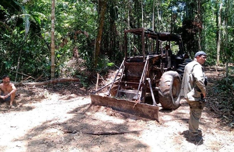 Sema-MT impede extração ilegal de madeira e apreende maquinários em Área de Proteção Integral