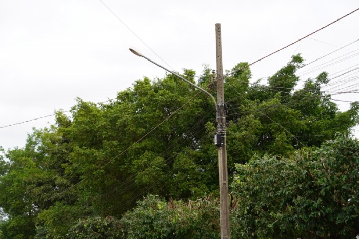 Podas de árvores começam a ser feitas nos bairros de Lucas do Rio Verde