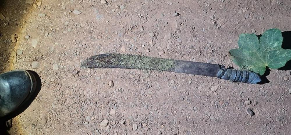 Homem é morto a golpes de facão em MT 