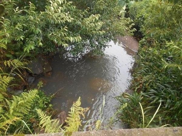 Parlamentar indica criação de um lago com espaço de recreação no Córrego Gonçalves