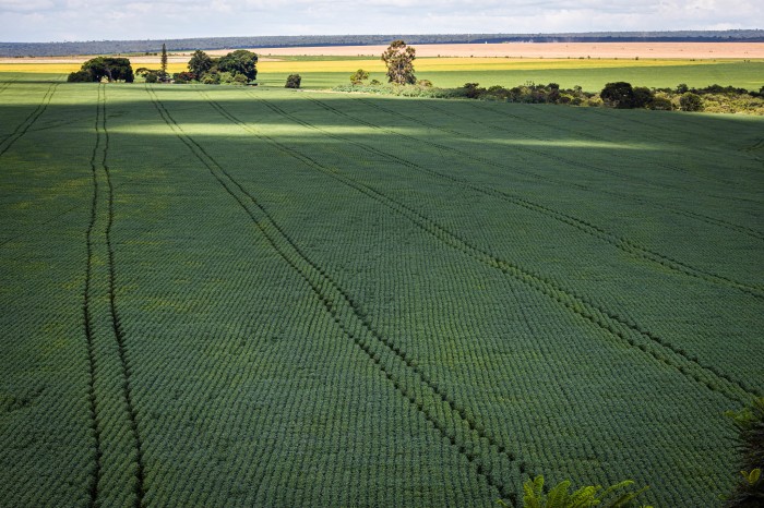 Berço das águas, Cerrado recebe 600 mi de litros de agrotóxico por ano
