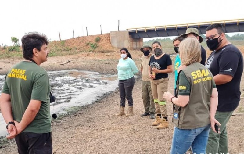 Sema colabora com pesquisa sobre condições dos jacarés no Pantanal