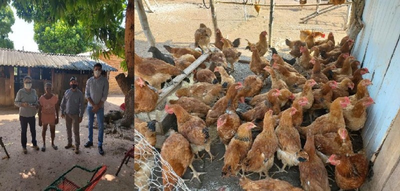Produtores e indígenas atendidos por programa de fomento comprovam aplicação de recurso
