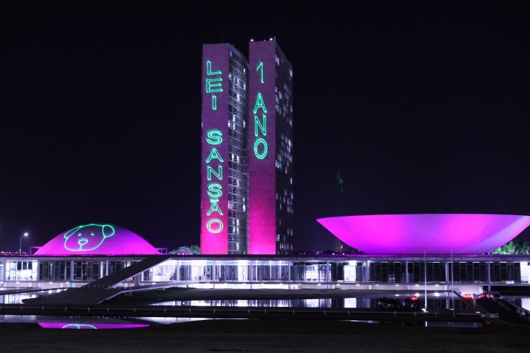 Congresso recebe projeção em homenagem à lei que aumentou pena por maus-tratos de animais