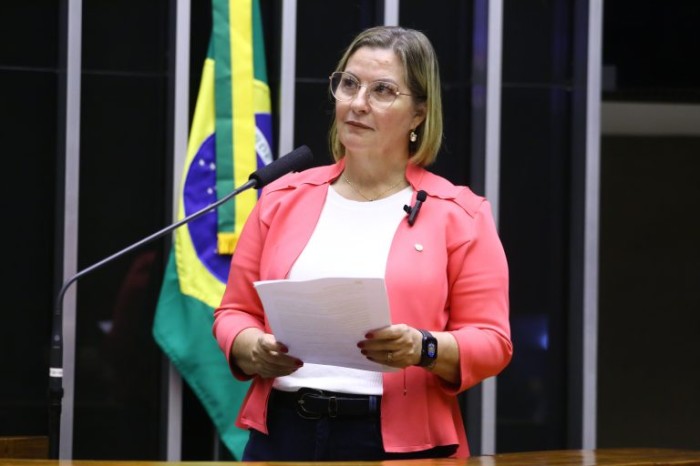 Projeto institui a Semana Nacional do Mutirão Direito a Ter Pai, em outubro