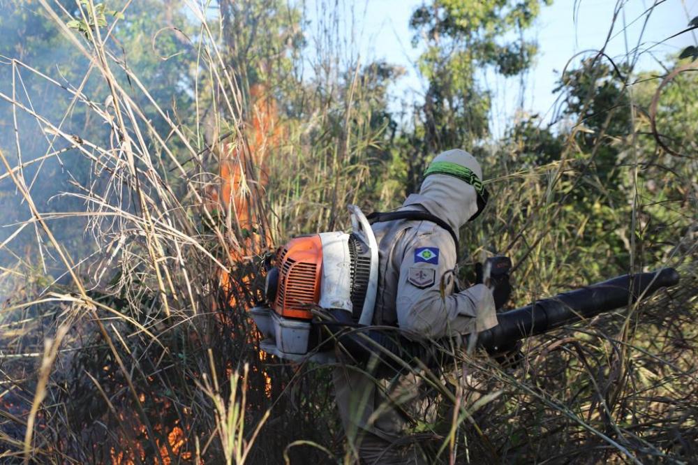 Parceria entre VG, Governo e bombeiros vai intensificar ações preventivas contra queimadas 