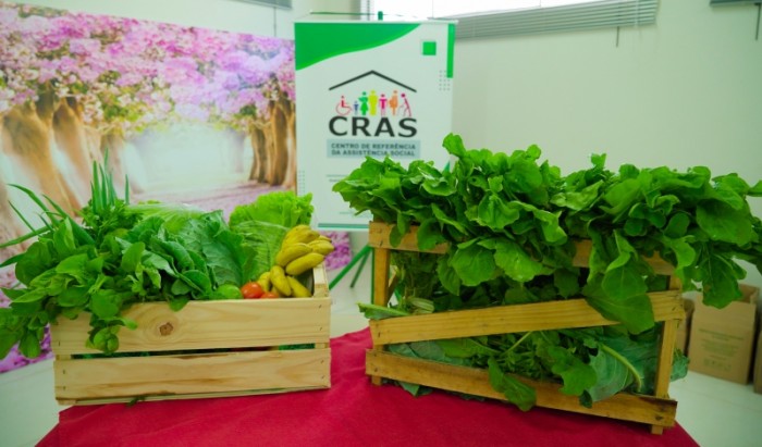 Programa de Aquisição de Alimentos Municipal realiza primeira entrega em Lucas do Rio Verde