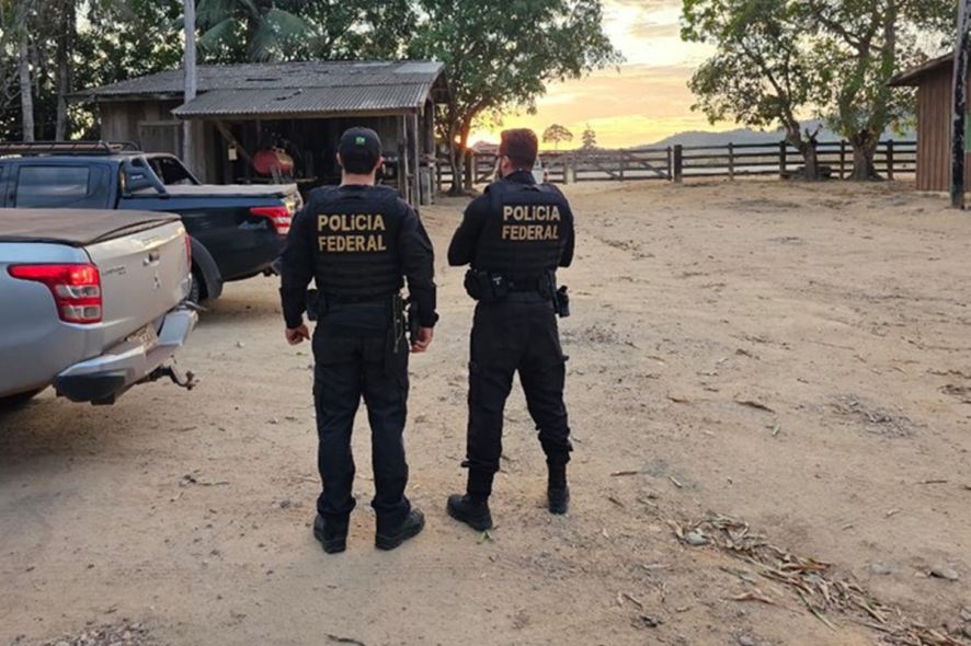 Operação da Polícia Federal por desmate ilegal mira empresários de MT e PA