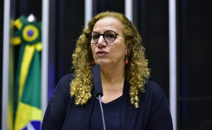 Parlamentares comemoram 17 anos da Lei Maria da Penha, celebrado nesta segunda