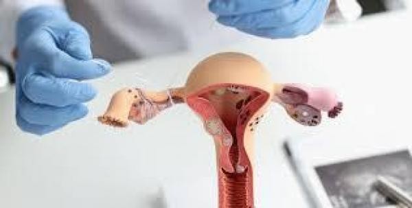 Presidente do Legislativo requer informações sobre laqueaduras realizadas pelo SUS