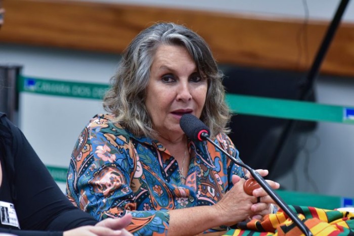 Comissão aprova gratuidade de transporte coletivo interestadual para vítima de violência doméstica