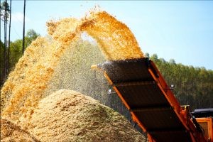 Comissão debate relação da produção do hidrogênio sustentável com o setor dos biocombustíveis