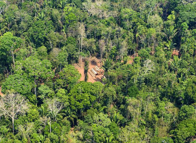 Desmatamento da Amazônia em Mato Grosso cai em 13,9%; Veja investimentos