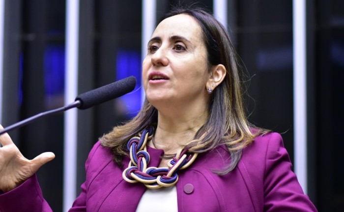 Câmara aprova projeto que autoriza lojas a oferecer Código de Defesa do Consumidor em meio digital; acompanhe