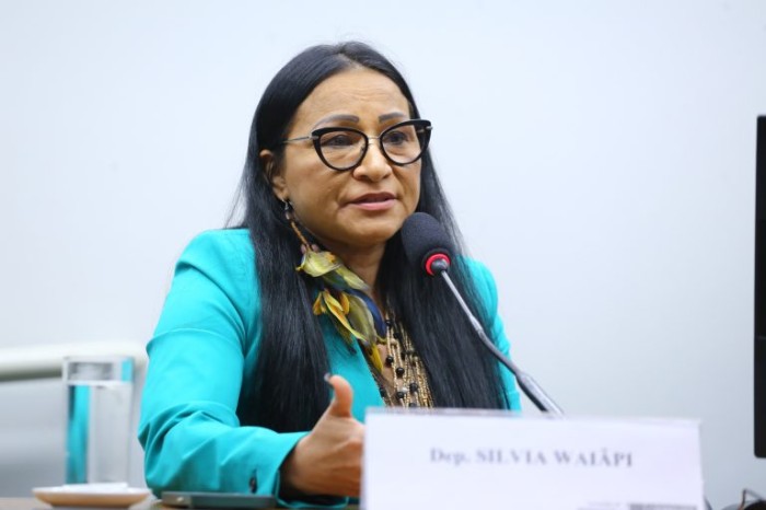 Comissão aprova projeto que prevê regras para processos realizados na modalidade de videoconferência