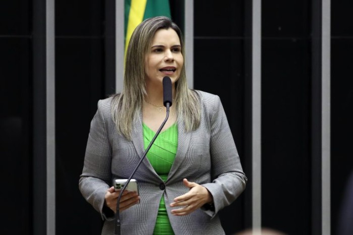 Comissão aprova projeto que criminaliza violência praticada no parto contra mulheres