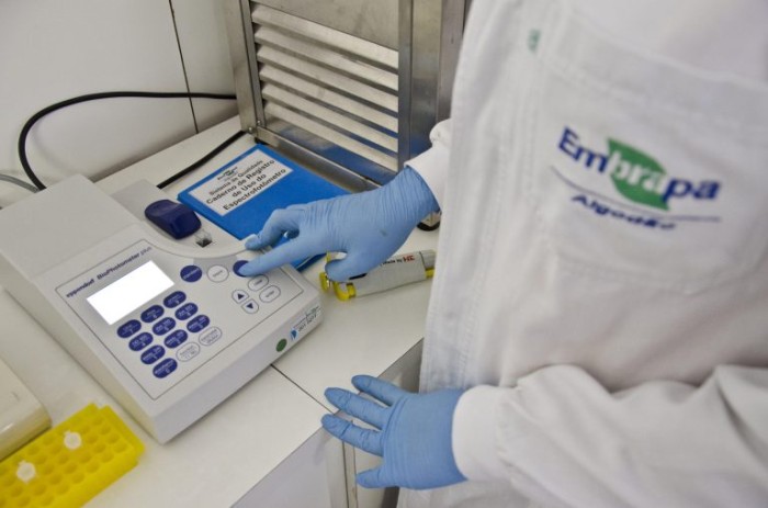 Comissão de Orçamento vai debater importância da Embrapa para o desenvolvimento agropecuário