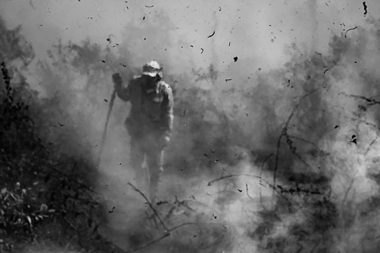 Frente Parlamentar Ambientalista promove bate-papo virtual sobre incêndios no Pantanal