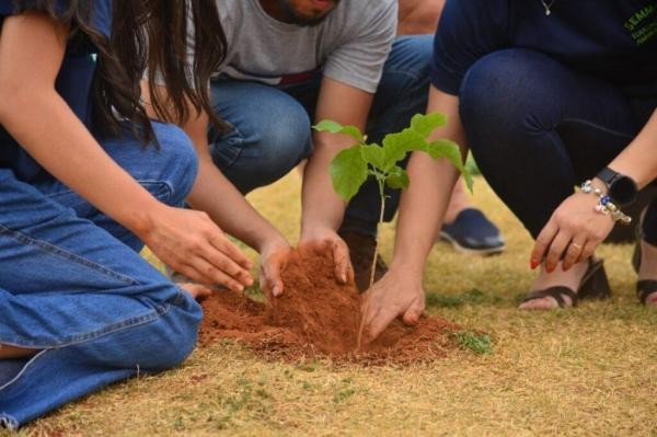 Vereador indica ao Poder Executivo parceria com o TCE /MT em projeto ambiental
