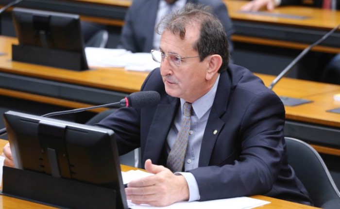 Comissão aprova proposta que inclui contagem de cães e gatos no Censo