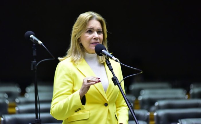 Comissão aprova projeto que institui política de humanização do luto materno e parental