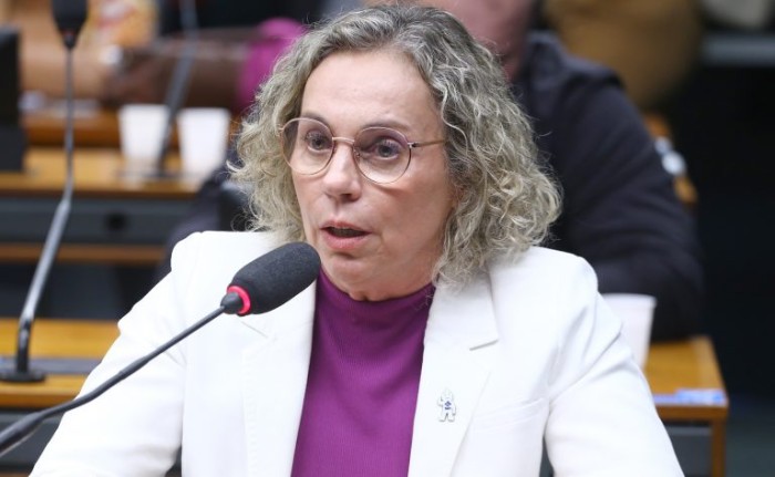 Comissão aprova projeto que facilita a nomeação do curador de pessoa com deficiência que esteja internada