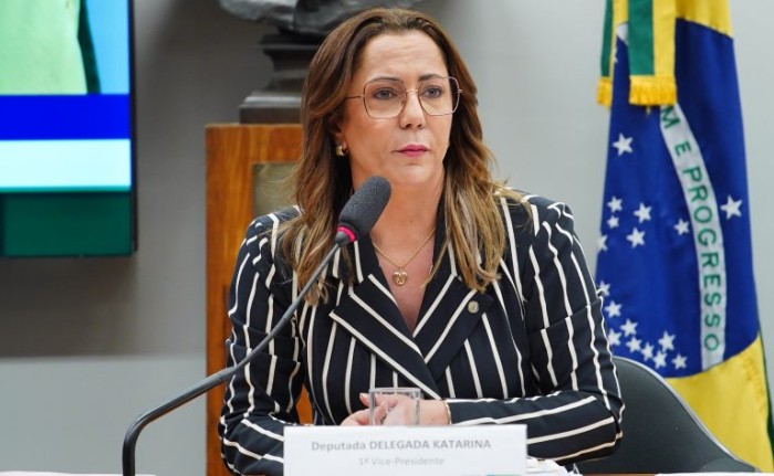 Comissão aprova atendimento prioritário de mulheres em delegacias