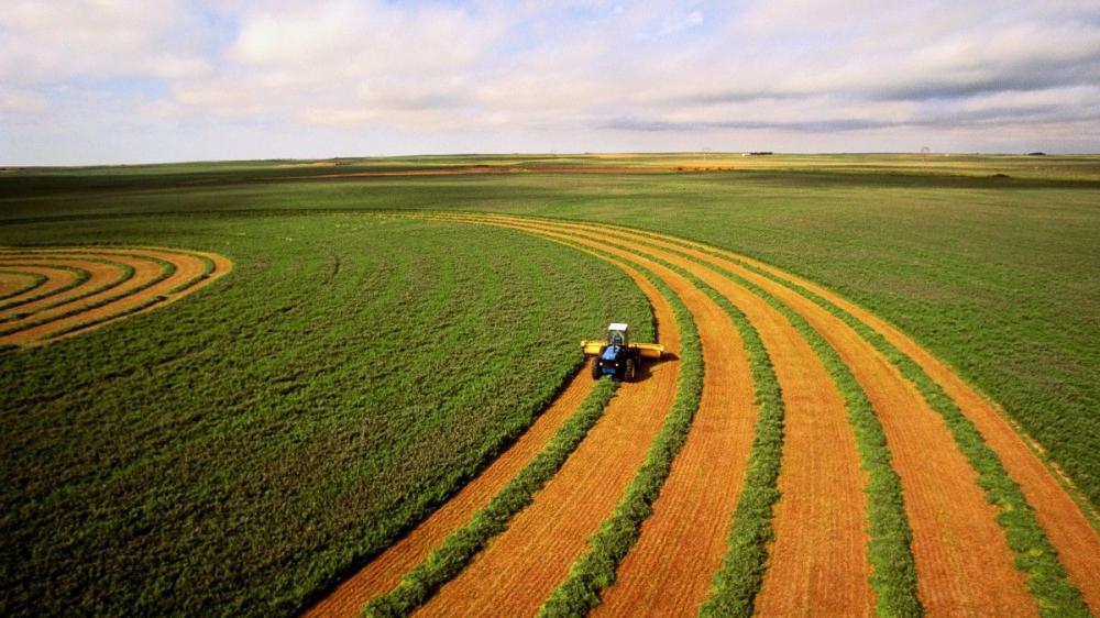 Hedge Agro Consultoria abre escritório em Tangará da Serra e fica mais perto do produtor rural