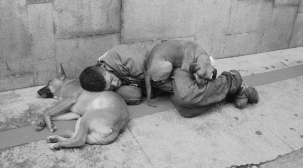 Vereador solicita a construção de um albergue