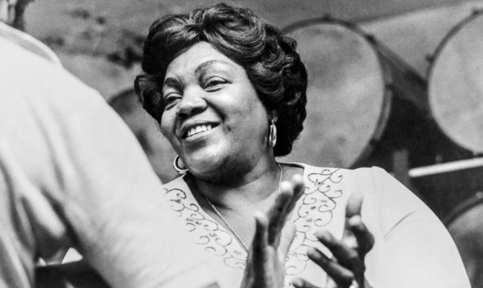 CCJ aprova criação do Dia Nacional da Mulher Sambista