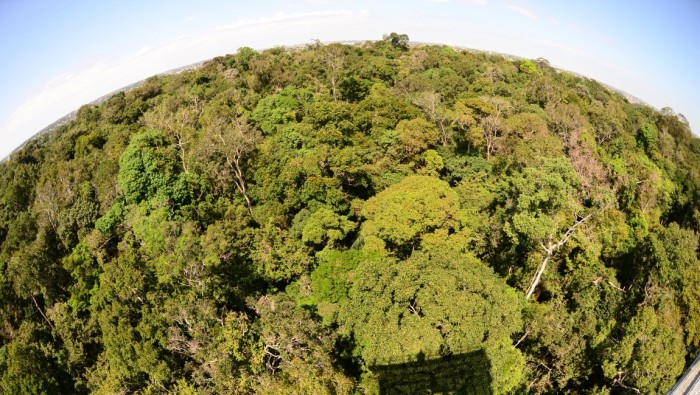 Venha curtir os atrativos da maior Floresta do mundo com o Turismo de Experiência