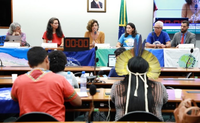 Ibama defende planejamento marinho para reduzir impacto dos parques de energia eólica em alto-mar