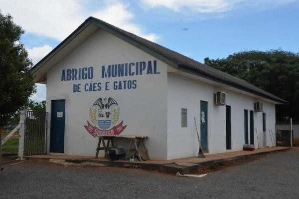 Presidente da Câmara sugere construção de baias para isolamento de animais no Abrigo Municipal