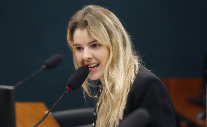 Comissão aprova garantia de acesso da pessoa com deficiência à telerreabilitação no SUS