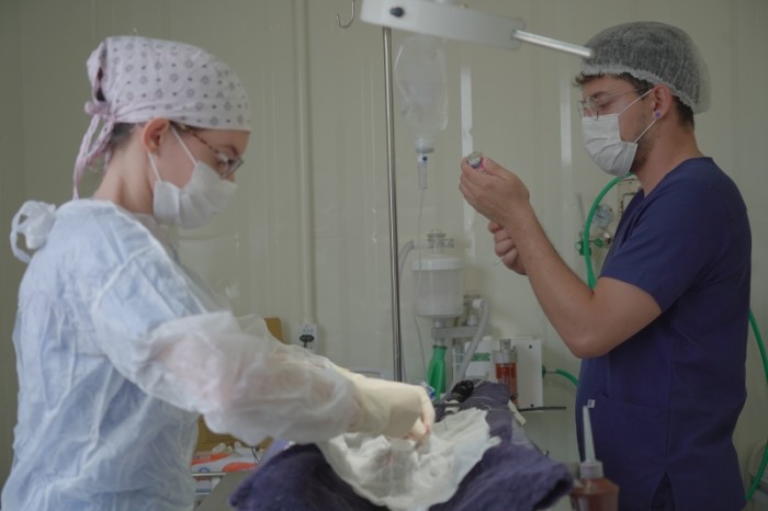 Mais de mil castrações foram realizadas na UPC em 2023