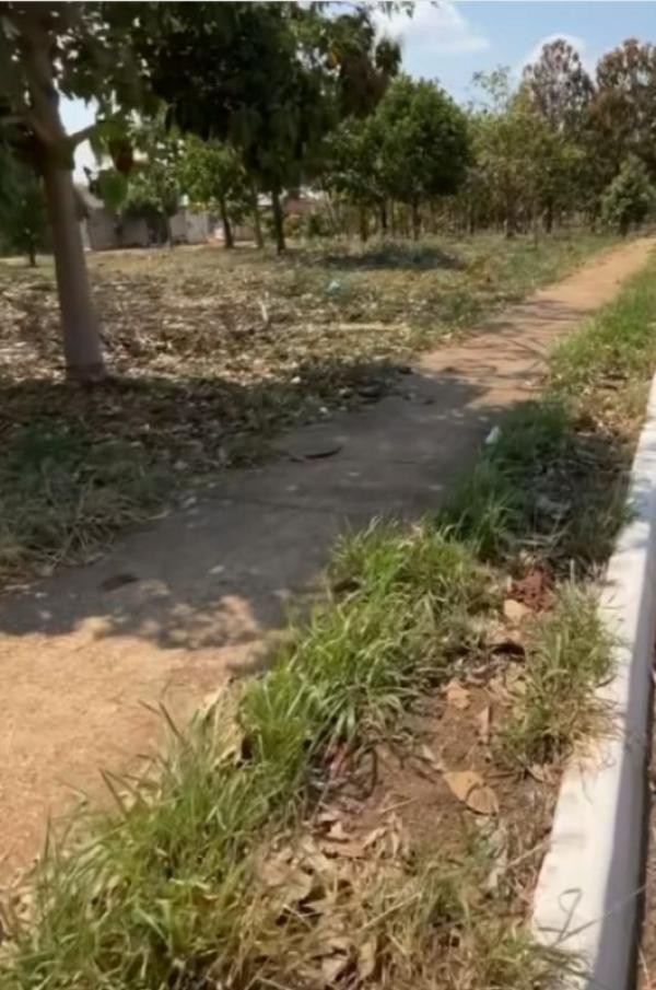 Parlamentar sugere plantio de grama no entorno da pista de caminhada do Bairro Mário Raiter
