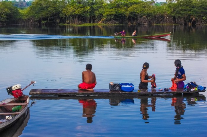 Comissão debate crédito de carbono e desenvolvimento sustentável na Amazônia
