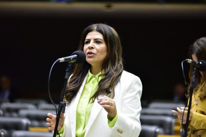 Comissão de Desenvolvimento Econômico debate mercado de carbono no Brasil