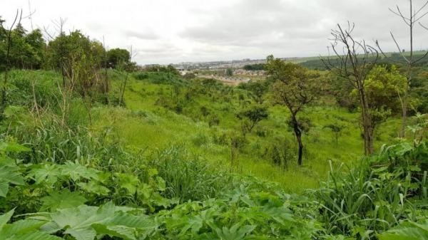 Vereador reitera pedido para construção de parque ecológico no bairro Jardim Aurora
