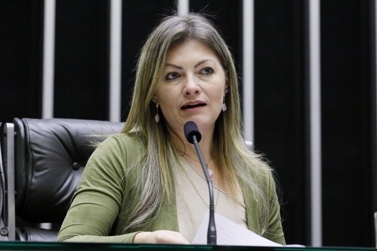 Presidente da Comissão de Agricultura defende maior agilidade para a pauta do agro sustentável