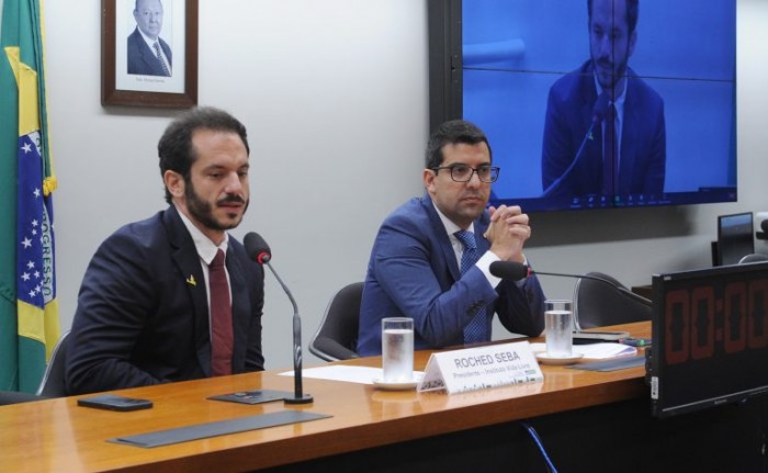 Especialistas em meio ambiente e energia buscam soluções para morte de animais na rede elétrica