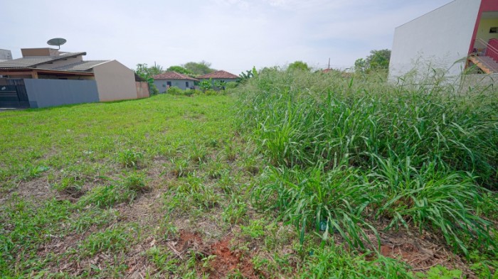 Proprietários de terrenos sujos tem prazo para limpeza até dia 30 de outubro