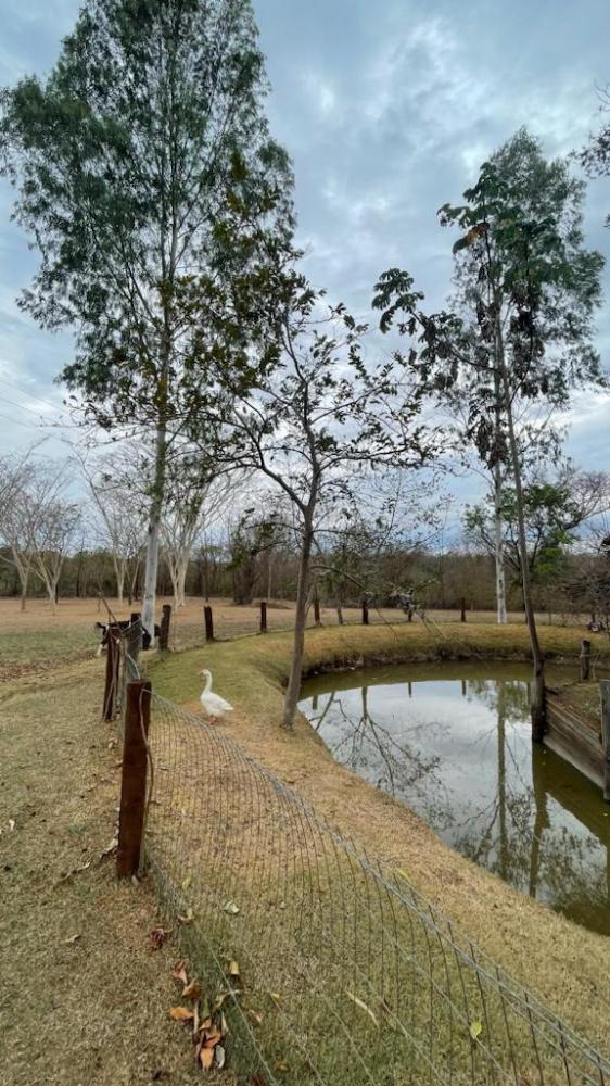 Santuário da natureza proporciona contato com os animais e culinária rural